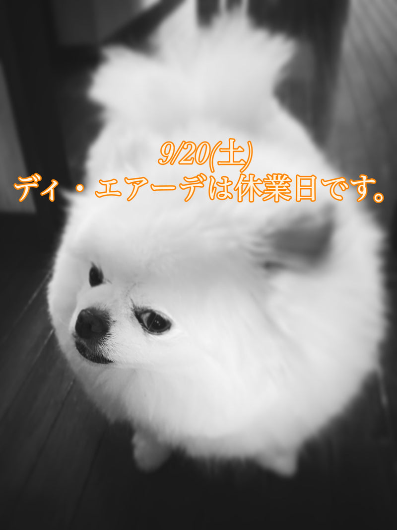 本日、9/29(土)ディ・エアーデは休業日です。
