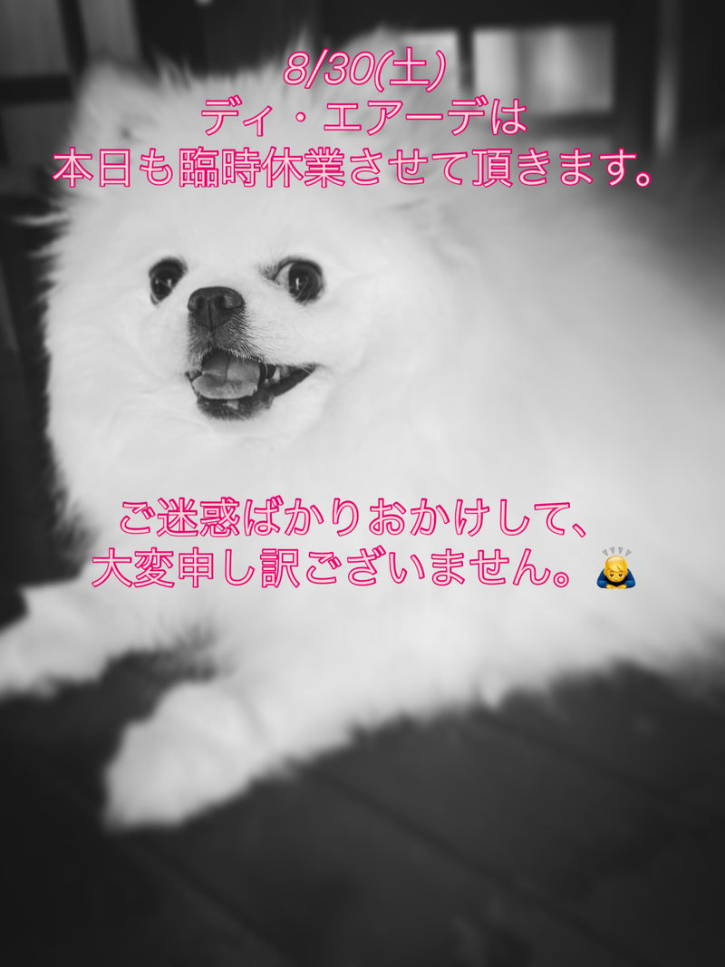 8/30(土)ディ・エアーデ臨時休業のお知らせ。