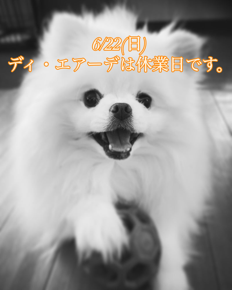 本日、6/22(日)ディ・エアーデは休業日です。