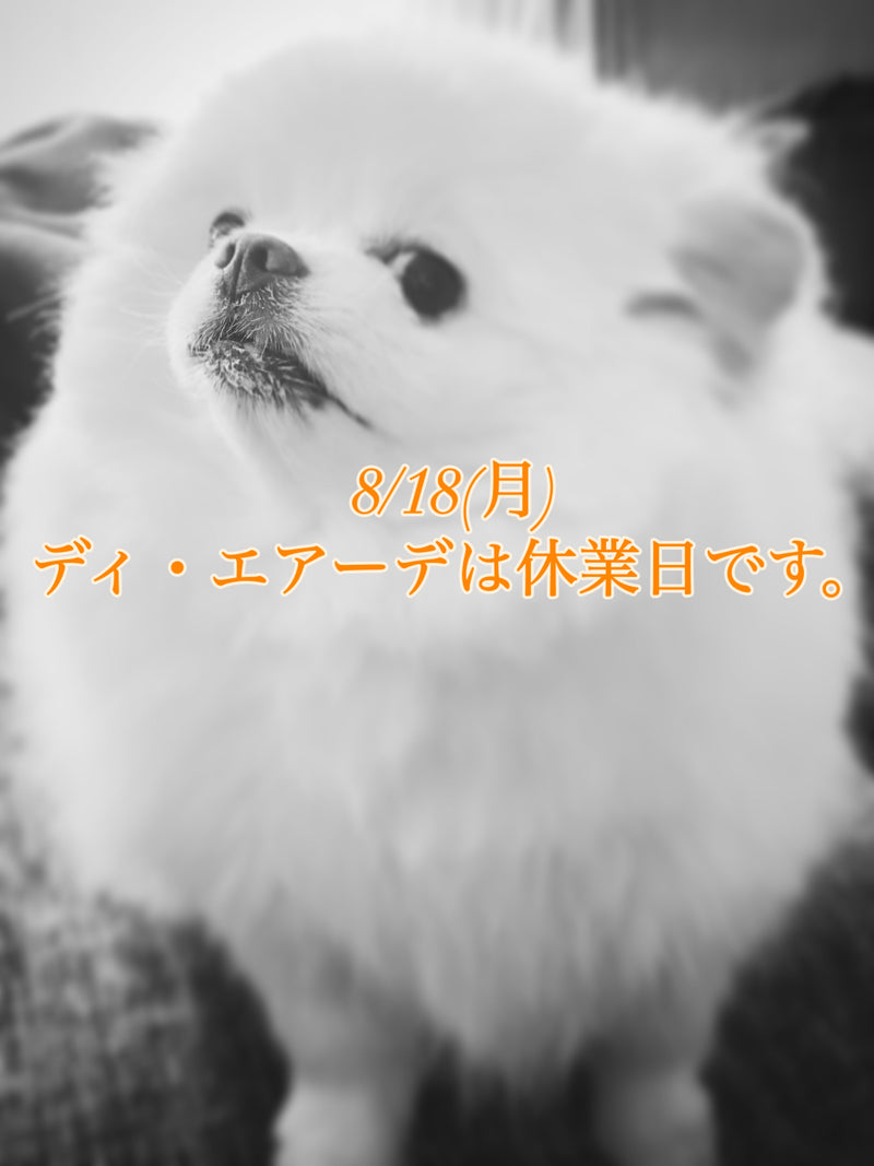 本日、8/18(月)ディ・エアーデは休業日です。