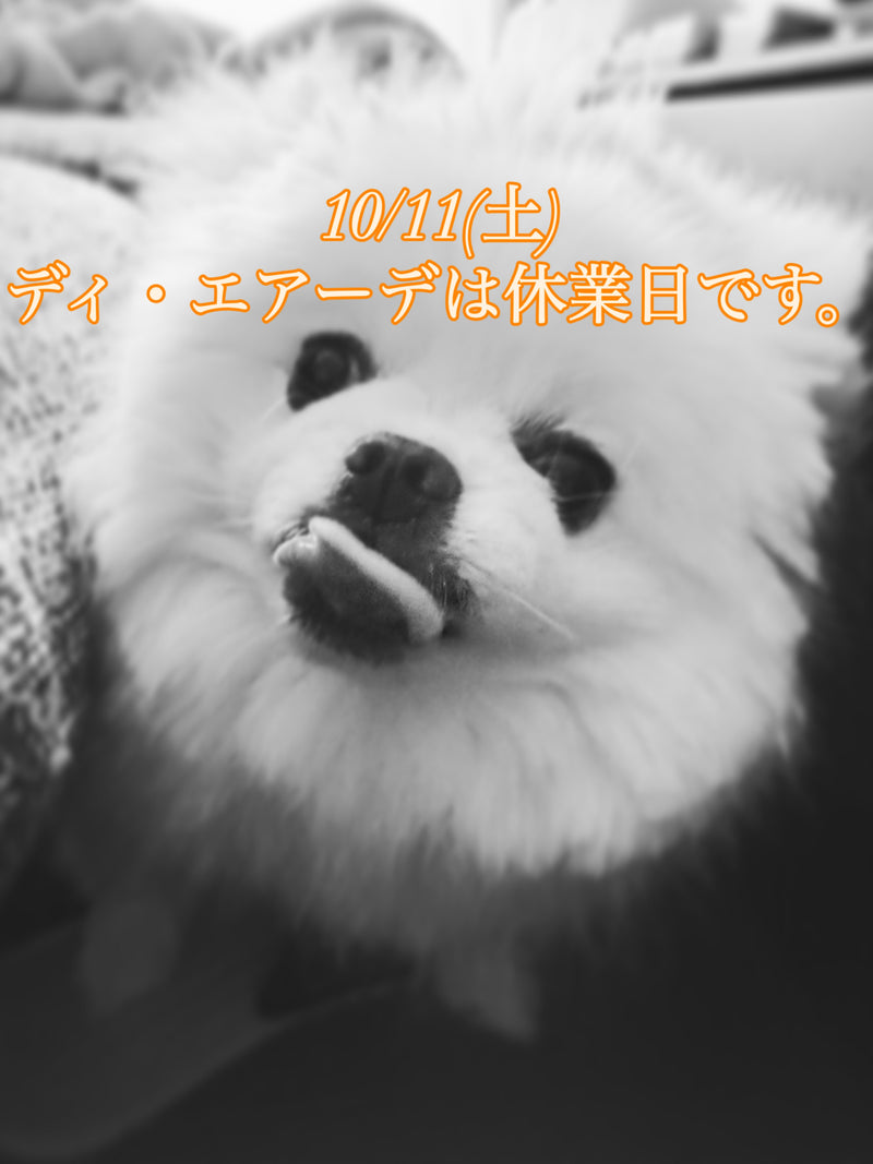 本日、10/11(土)ディ・エアーデは休業日です。