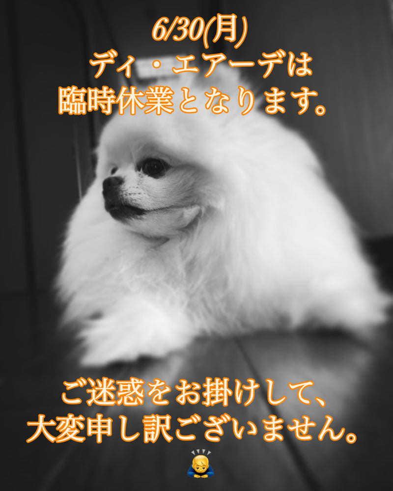 本日、6/30(月)ディ・エアーデは臨時休業となります。