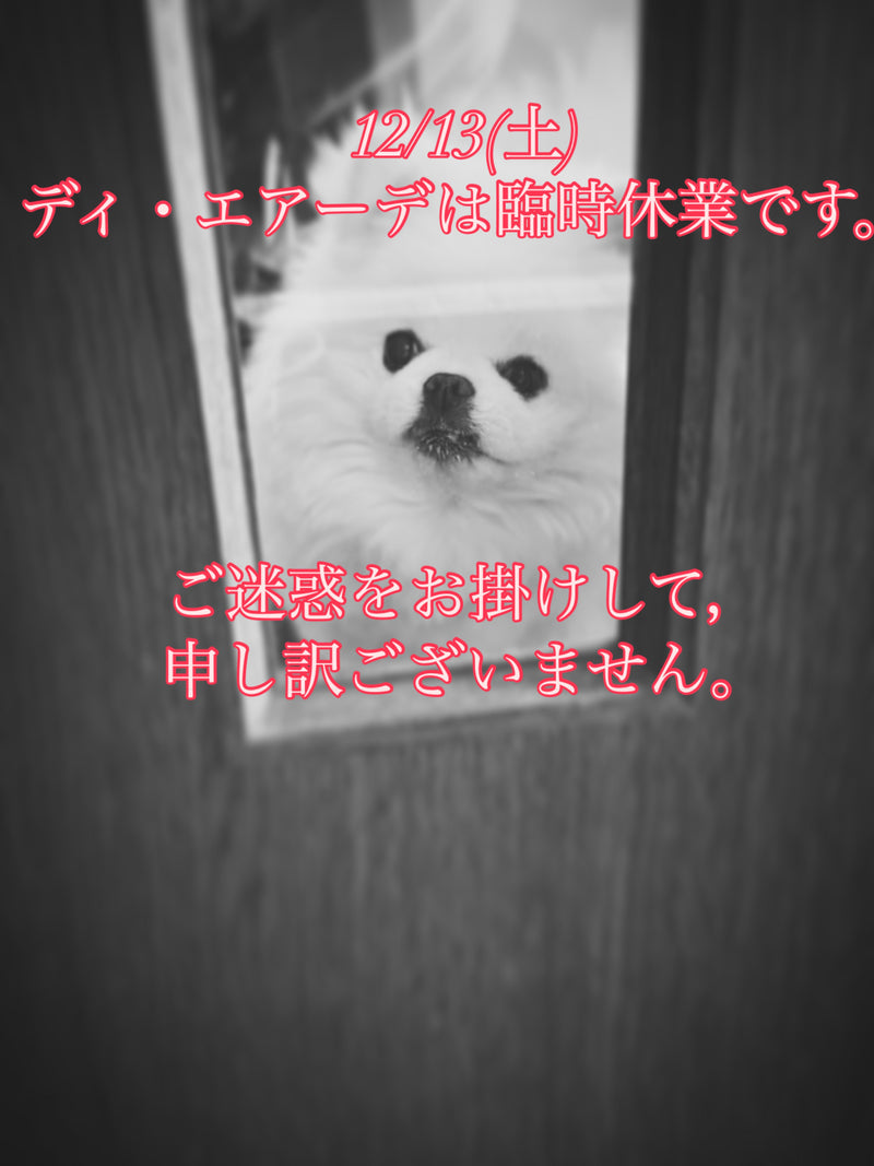 本日、12/13(土)ディ・エアーデは臨時休業です。