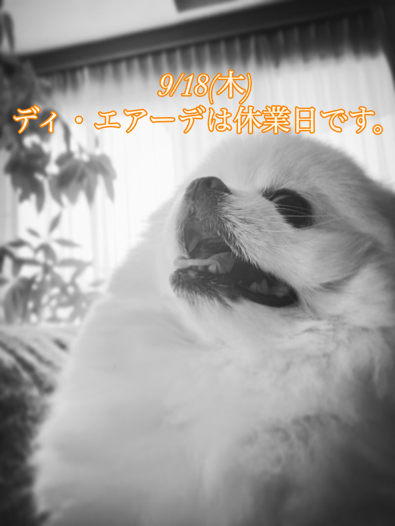 本日、9/18(木)ディ・エアーデ休業日のお知らせ。