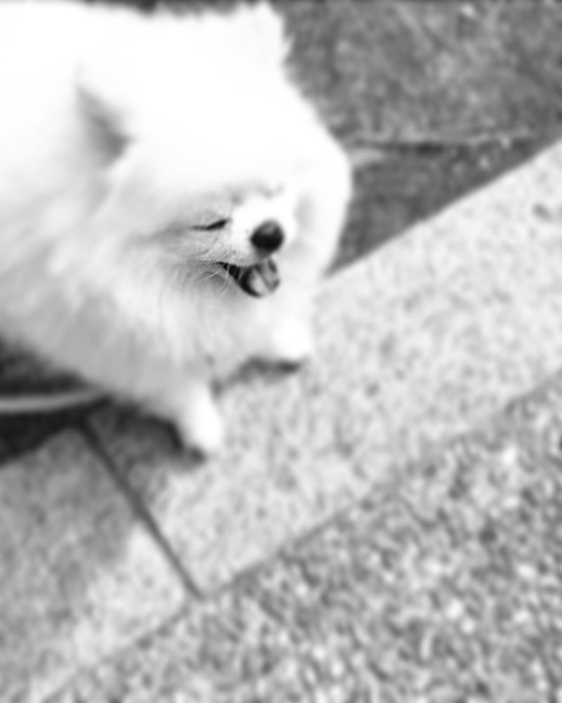 ディ・エアーデ連休のお知らせ