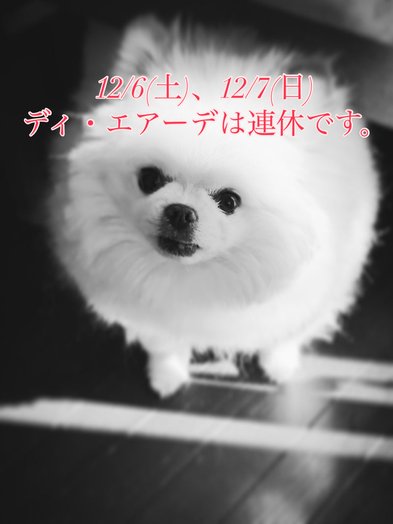 12/6(土)、12/7(日)ディ・エアーデは連休です。