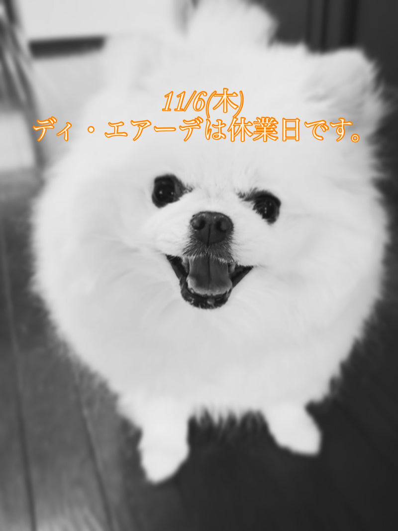 本日、11/6(木)ディ・エアーデは休業日です。
