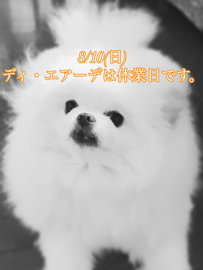 本日、8/10(日)ディ・エアーデは休業日です。