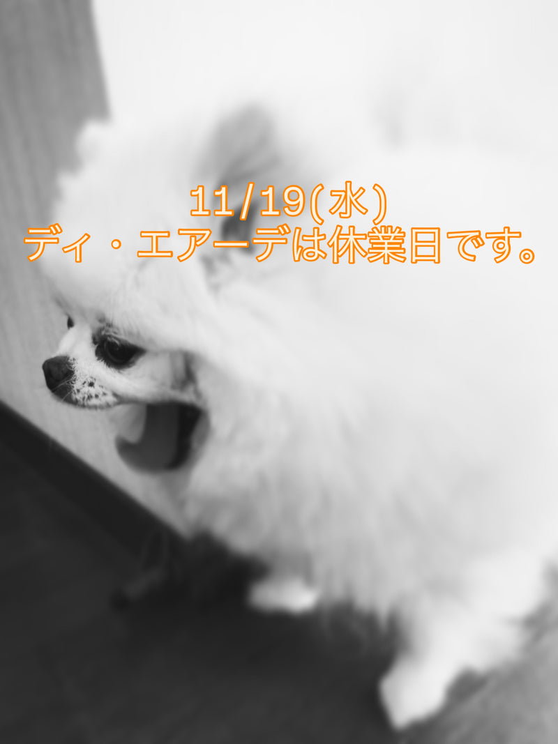 本日、11/19(水)ディ・エアーデは休業日です。