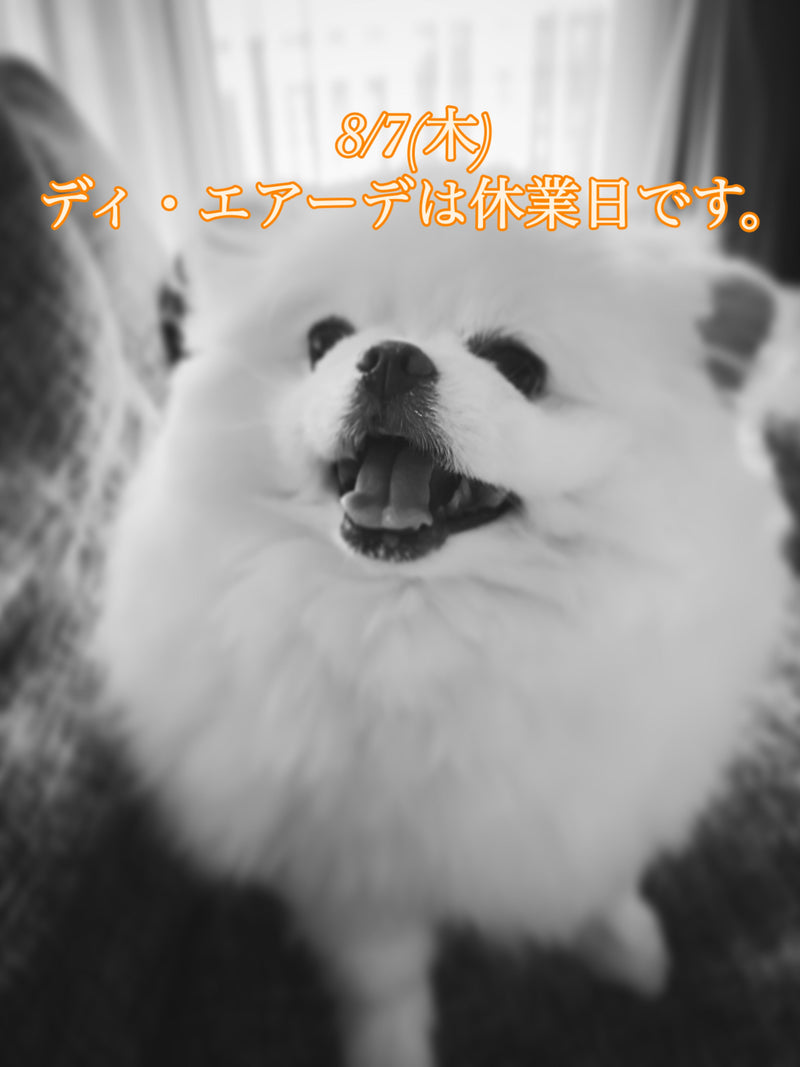本日、8/7(木)ディ・エアーデ休業日のお知らせ。