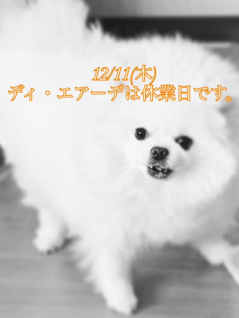 本日、12/11(もく)ディ・エアーデは休業日です。