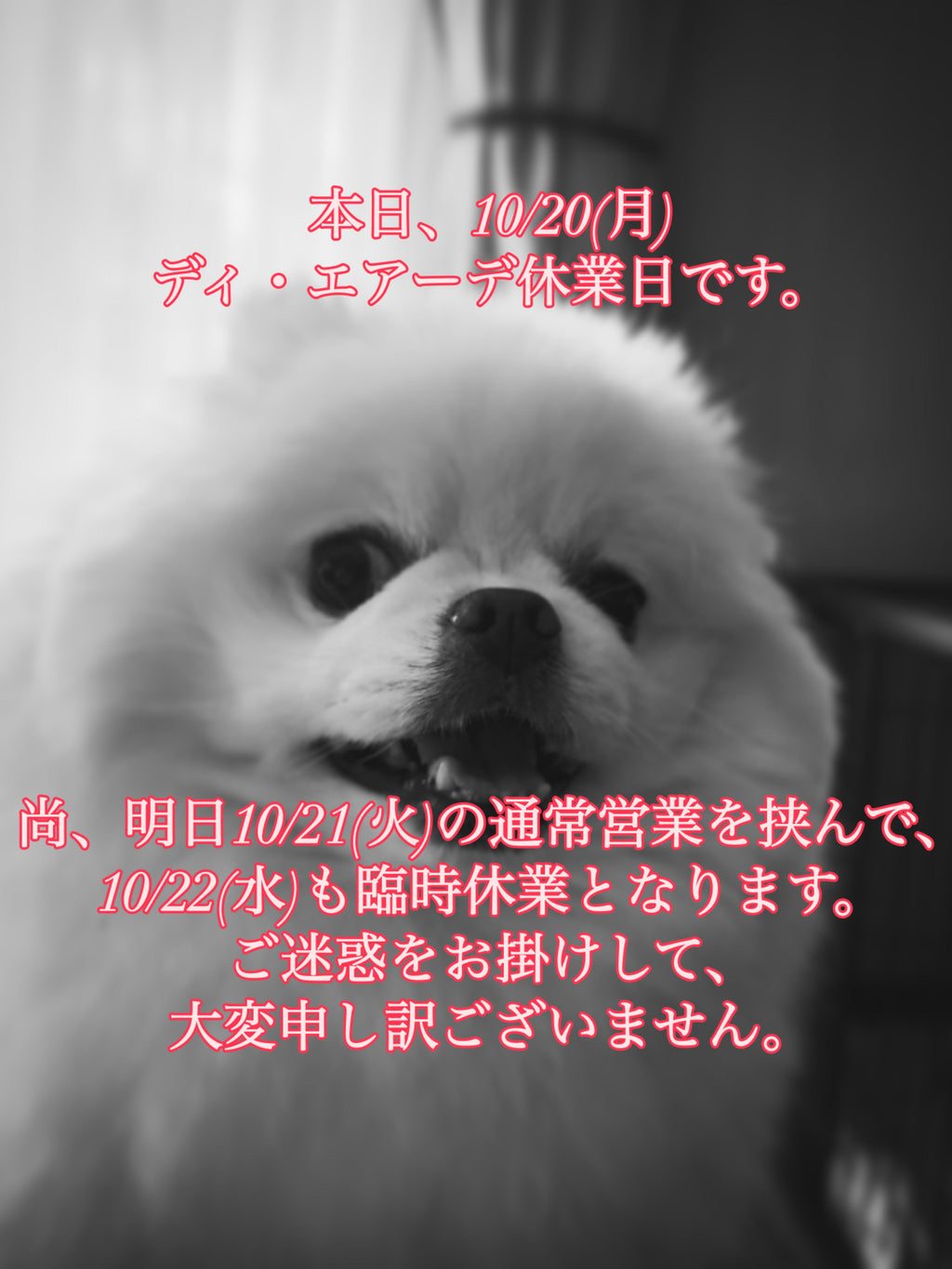 本日、10/20(月)ディ・エアーデは休業日です。そして明後日10/22(水)は臨時休業です。