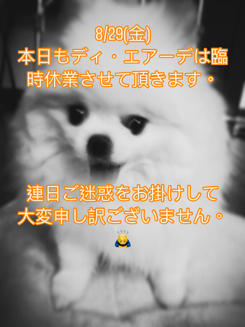 8/29(金)ディ・エアーデ臨時休業のお知らせ。