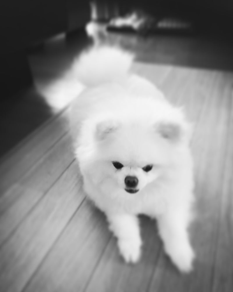 大変申し訳ございません。本日7/15(月)臨時休業させて頂きます。
