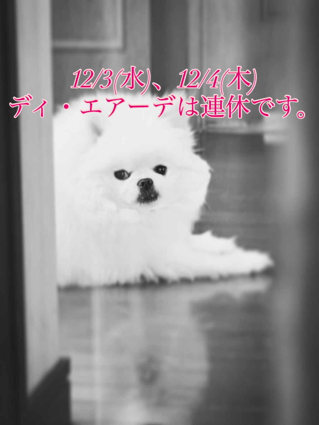 本日、12/3(水)と12/4(木)ディ・エアーデは連休です。