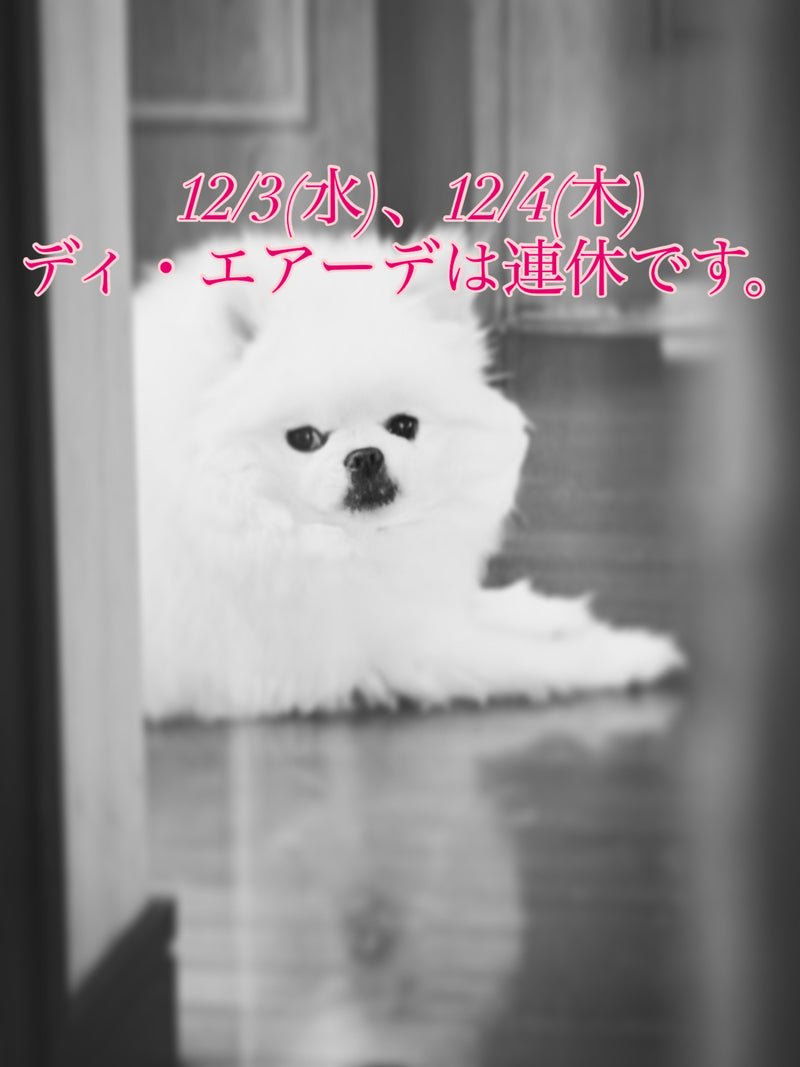 本日、12/3(水)と12/4(木)ディ・エアーデは連休です。