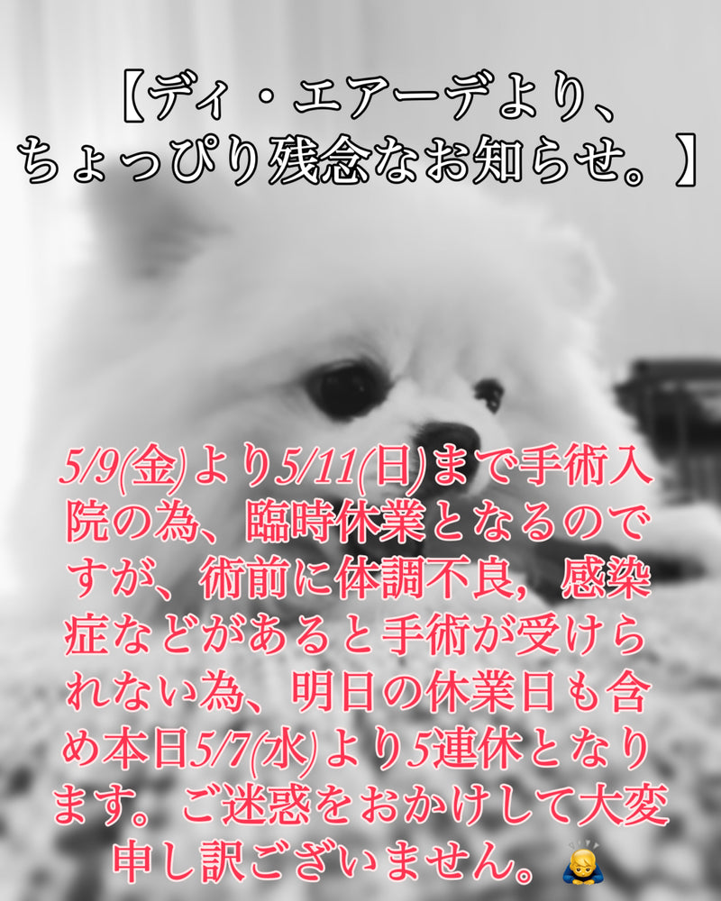 ディ・エアーデより，ちょっぴり残念なお知らせ。