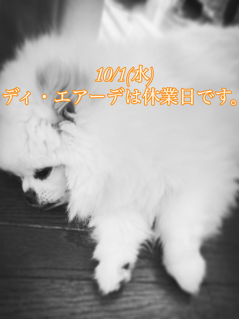 本日、10/1(水)ディ・エアーデ休業日のお知らせ。