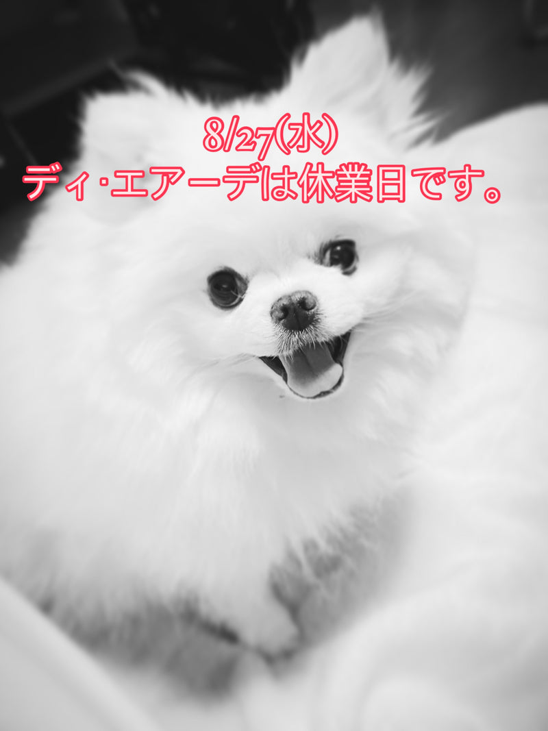 本日、8/27(水)ディ・エアーデは休業日です。
