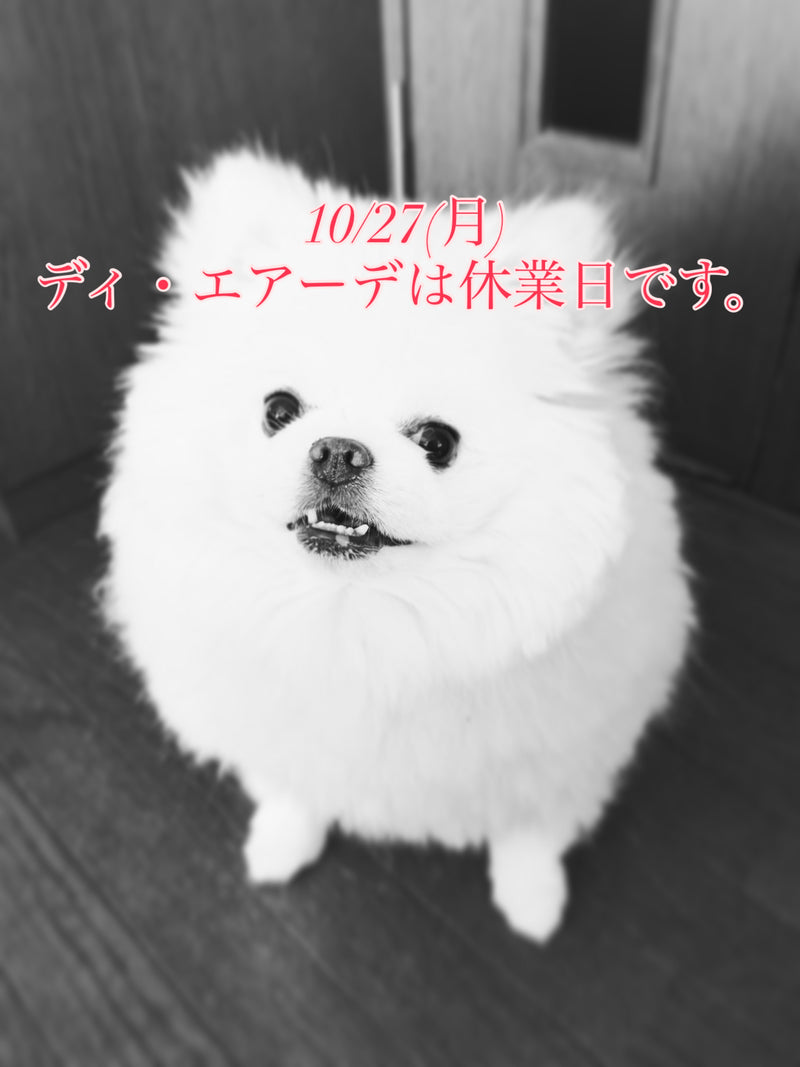 本日、10/27(月)ディ・エアーデは休業日です。