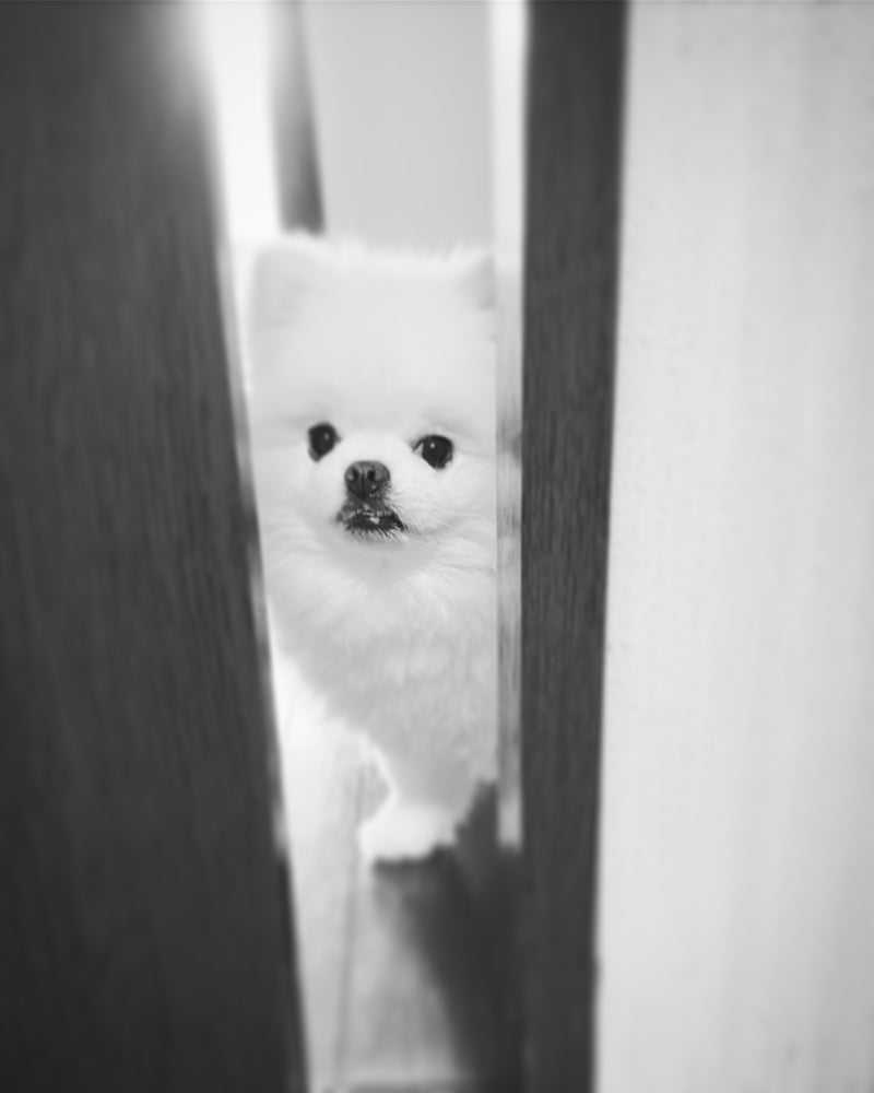 本日、8/5(月)ディ・エアーデは休業日です