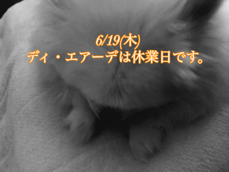 本日、6/19(木)ディ・エアーデは休業日です。