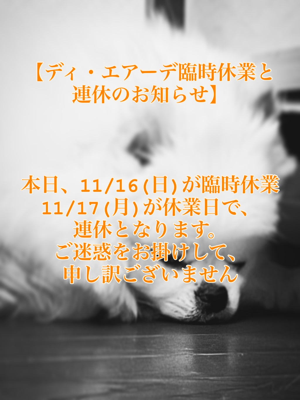 本日、11/16(日)臨時休業、11/17(月)休業日の為、ディ・エアーデは連休です。