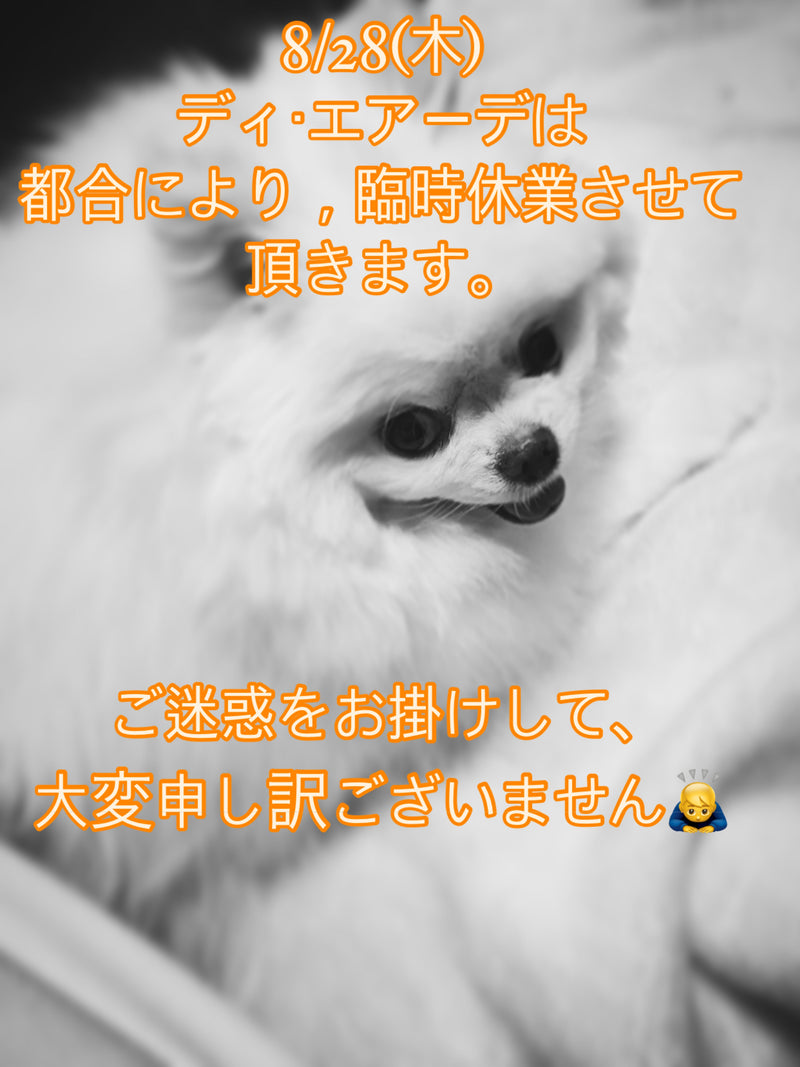 8/28(木)ディ・エアーデ臨時休業のお知らせ。
