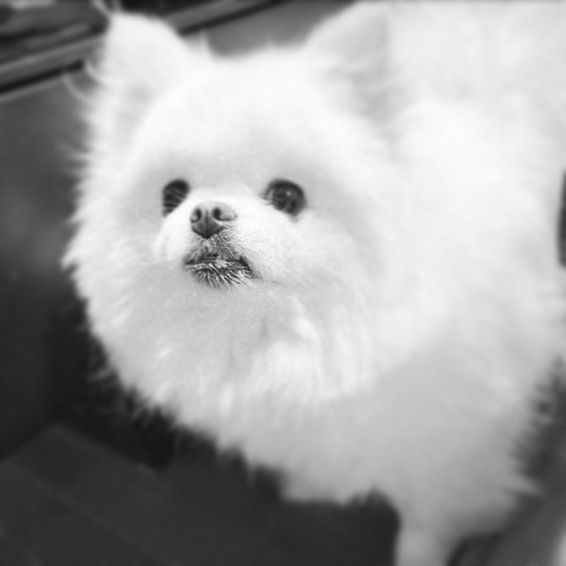 ディ・エアーデ連休のお知らせ