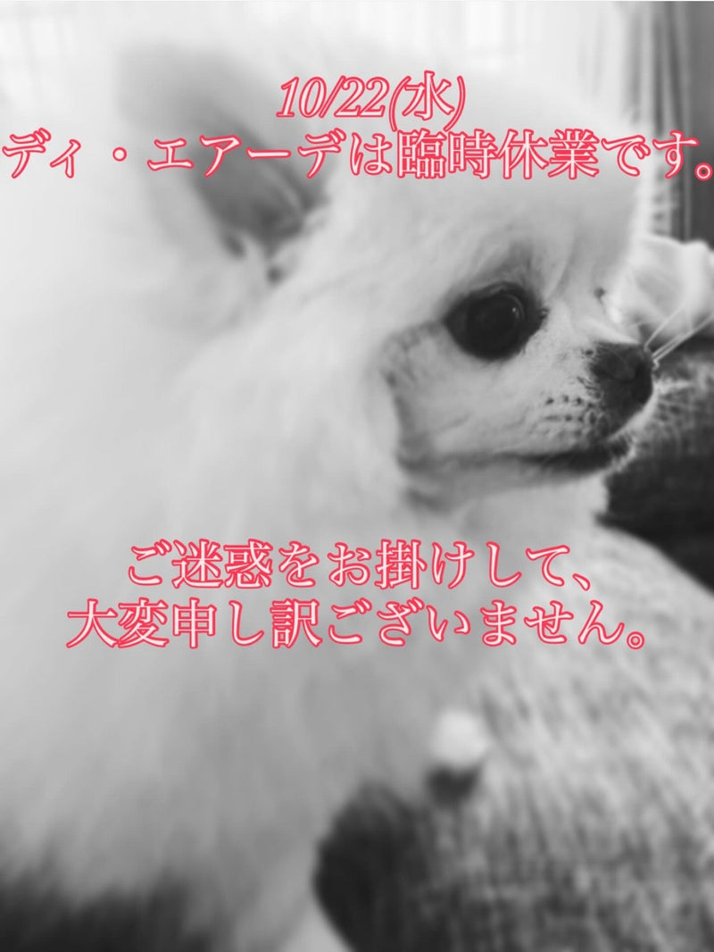 本日、10/22(水)ディ・エアーデは臨時休業です。