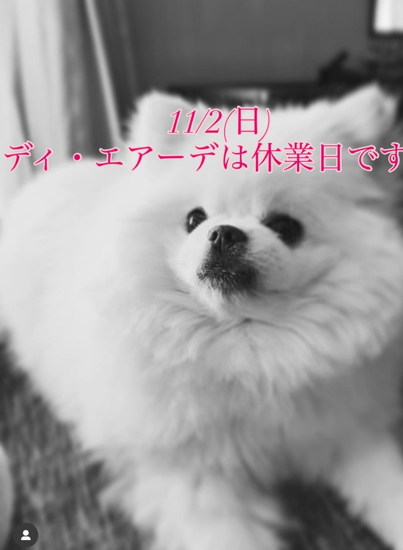 本日、11/2(日)ディ・エアーデは休業日です。